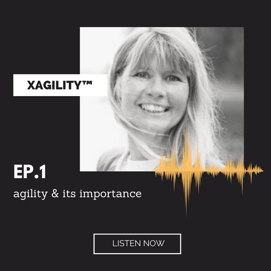 Pia Maria Thoren and John Coleman discuss agility & its importance