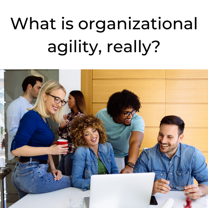 So what is organizational agility?