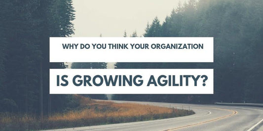 Why do you think your organization is growing agility? - ORDERLY  DISRUPTION