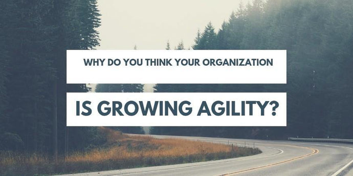Why do you think your organization is growing agility?